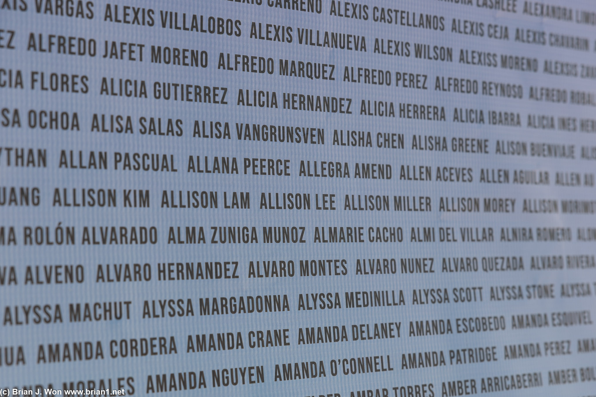 Wall of names for this year.