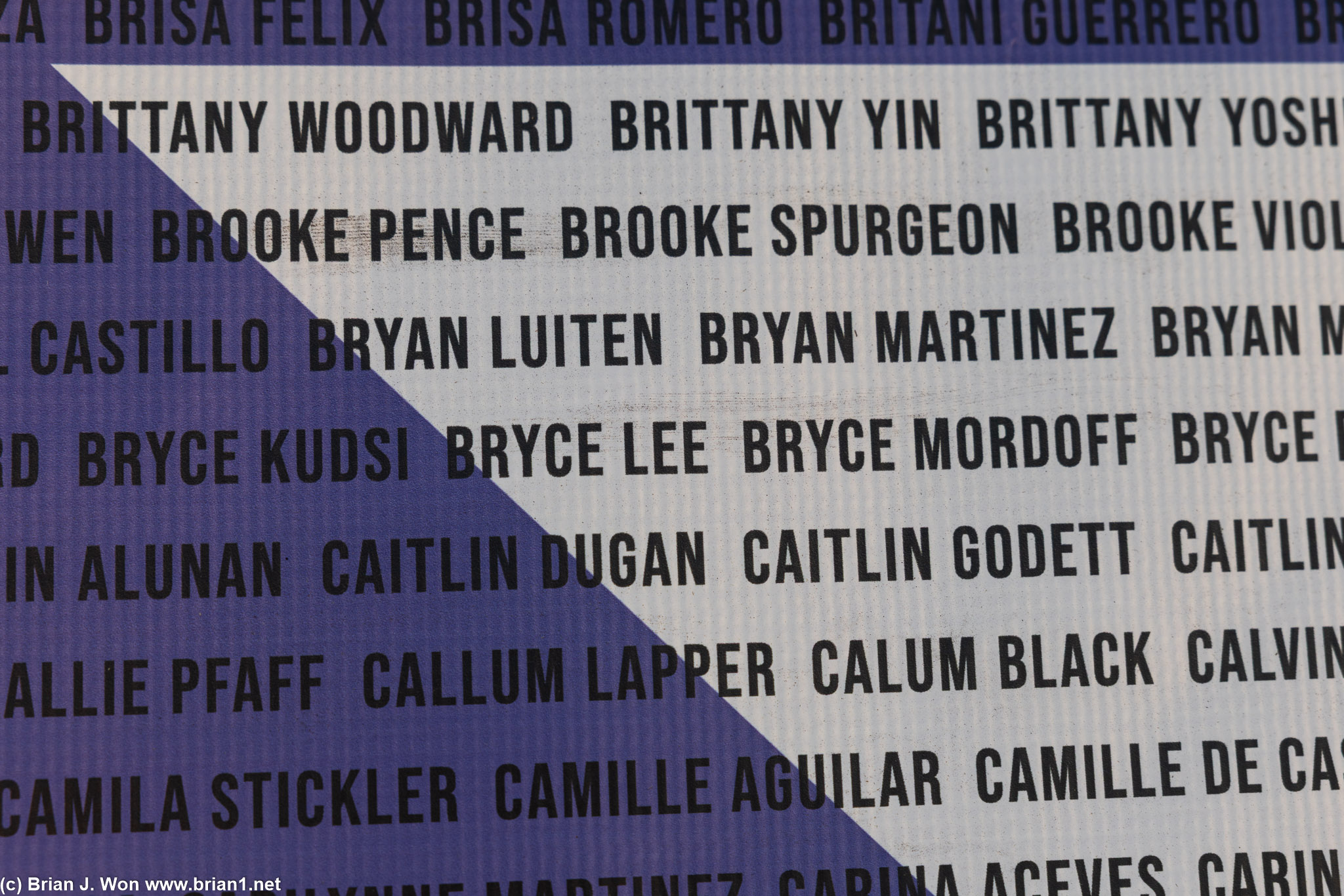 Wall of names for this year.