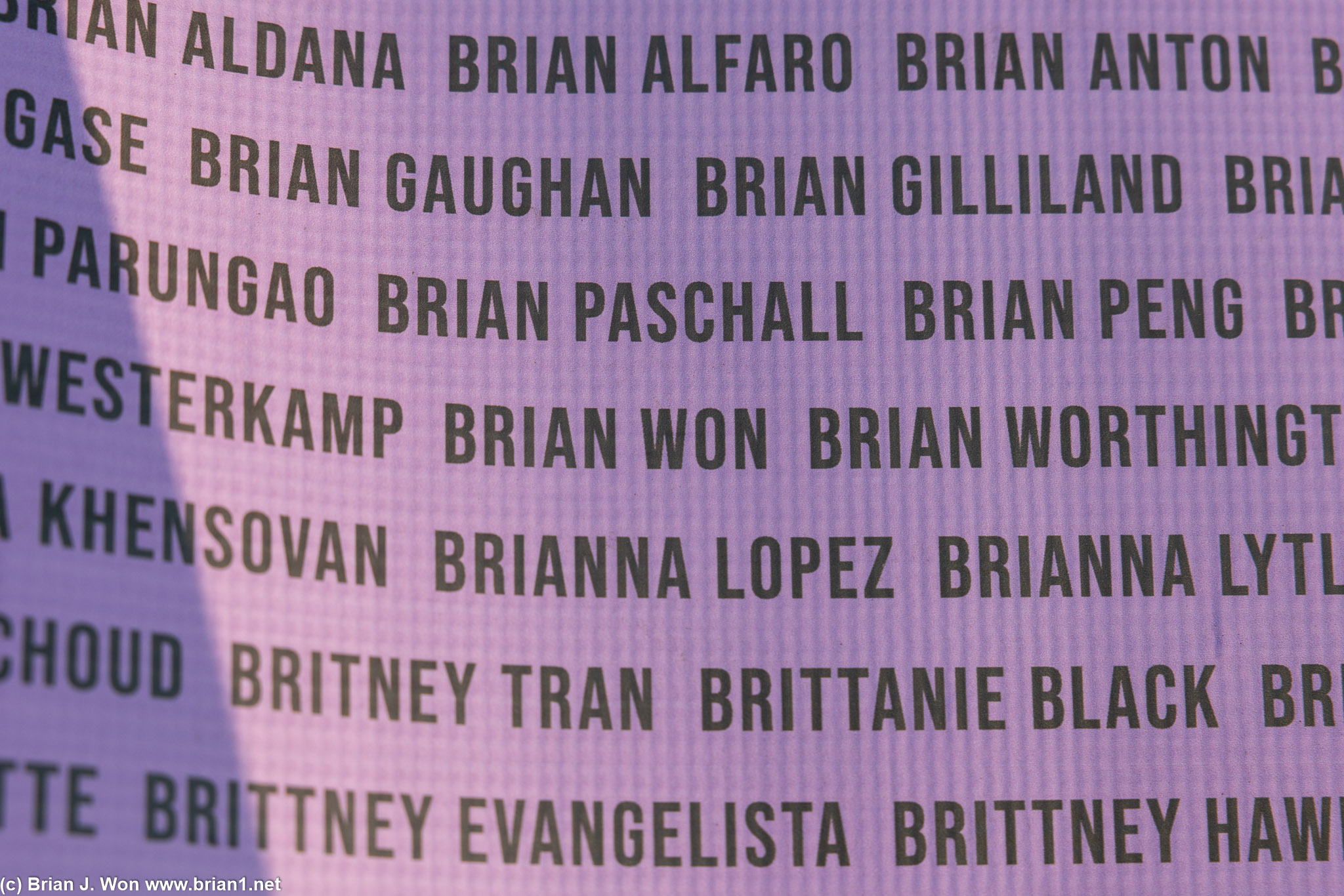 Wall of names for this year.