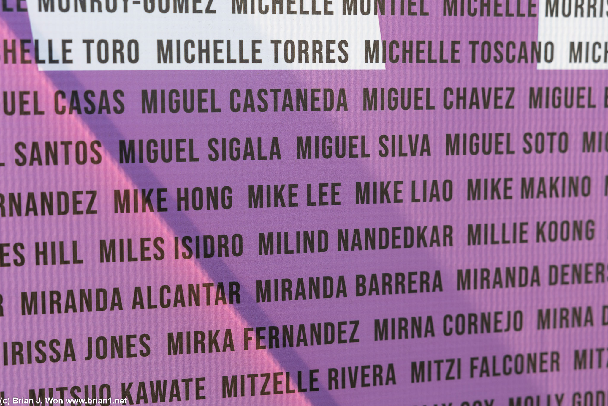 Wall of names for this year.