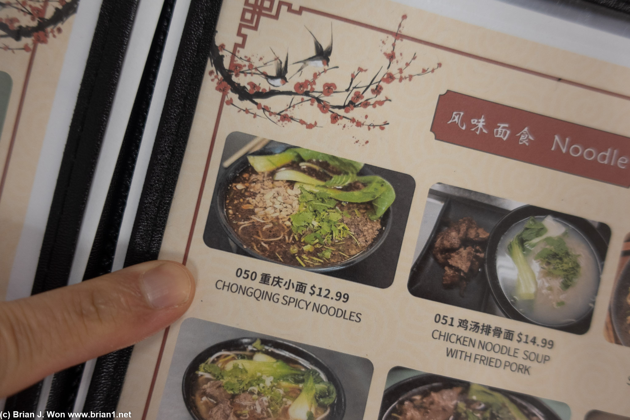 Menu at Zui Xiang Yuan.