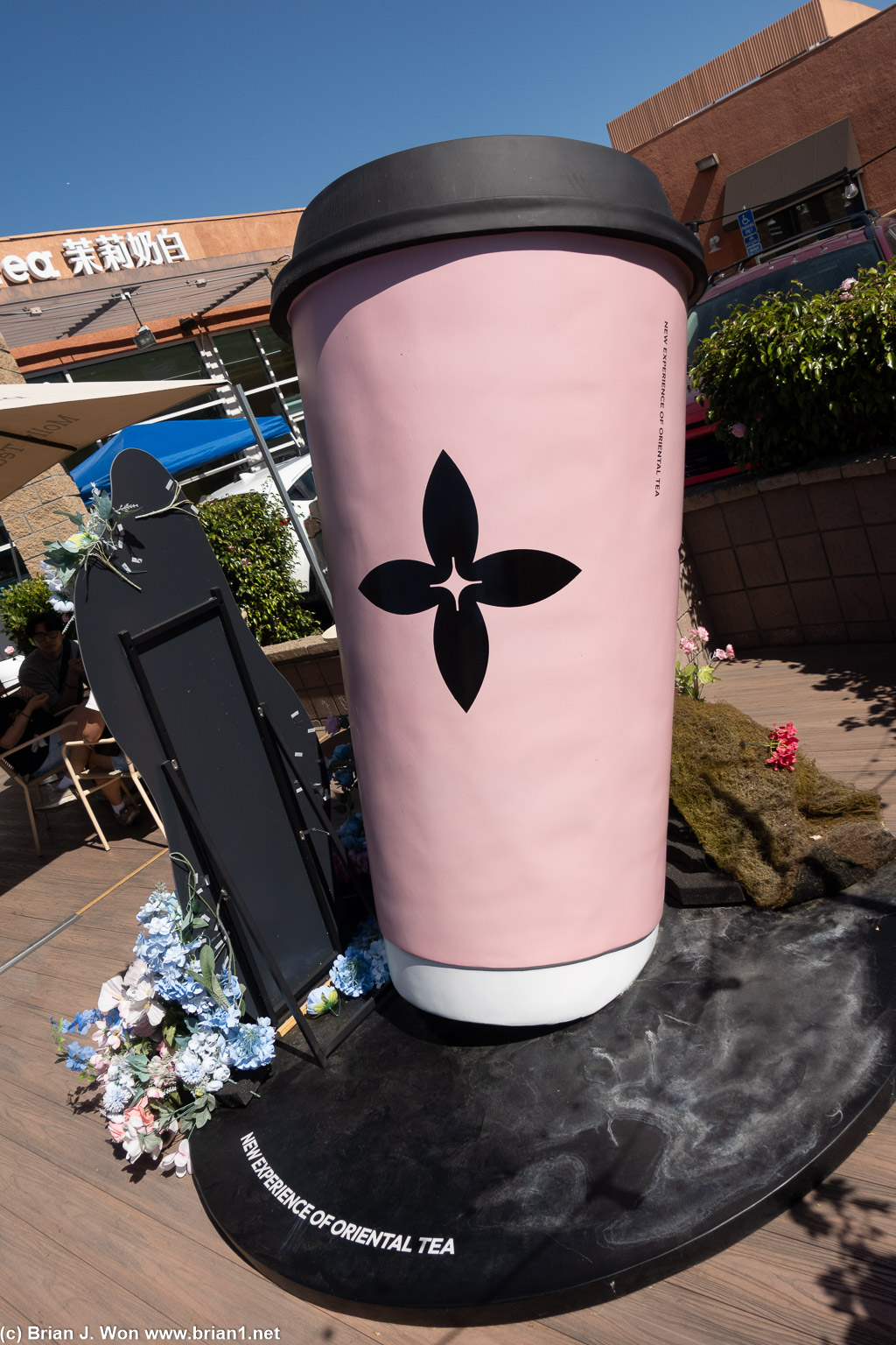 You know you're at Molly Tea.