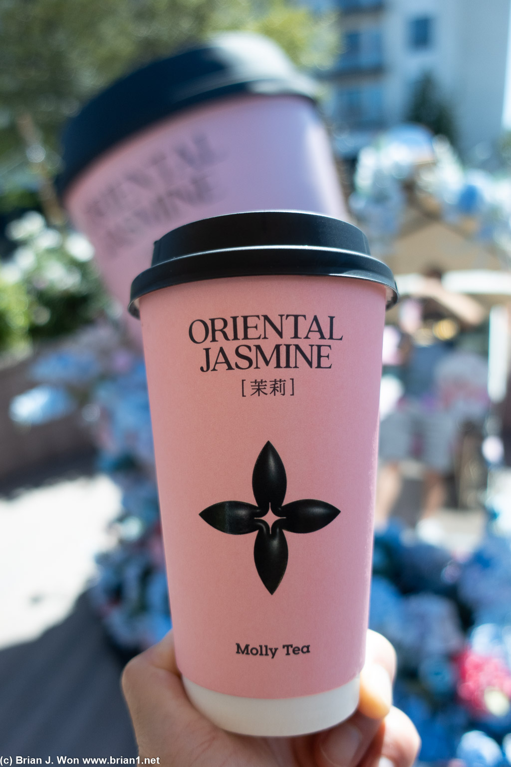 Actual cup vs. the prop on the patio.