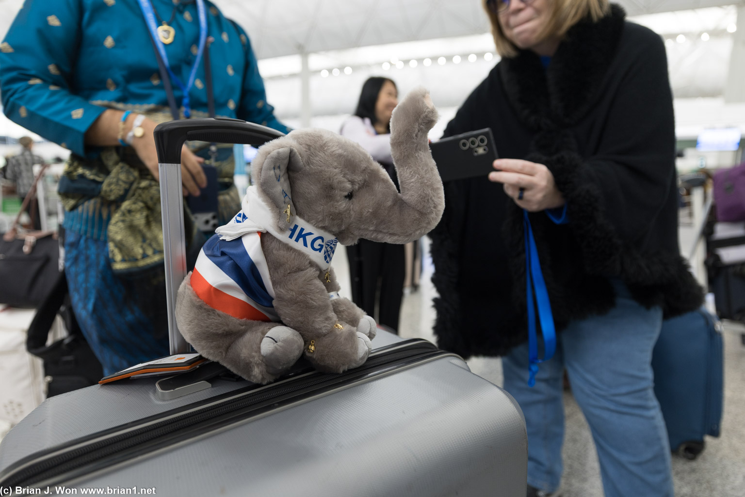 Warren dressed and brought stuffed animals for the occasion.