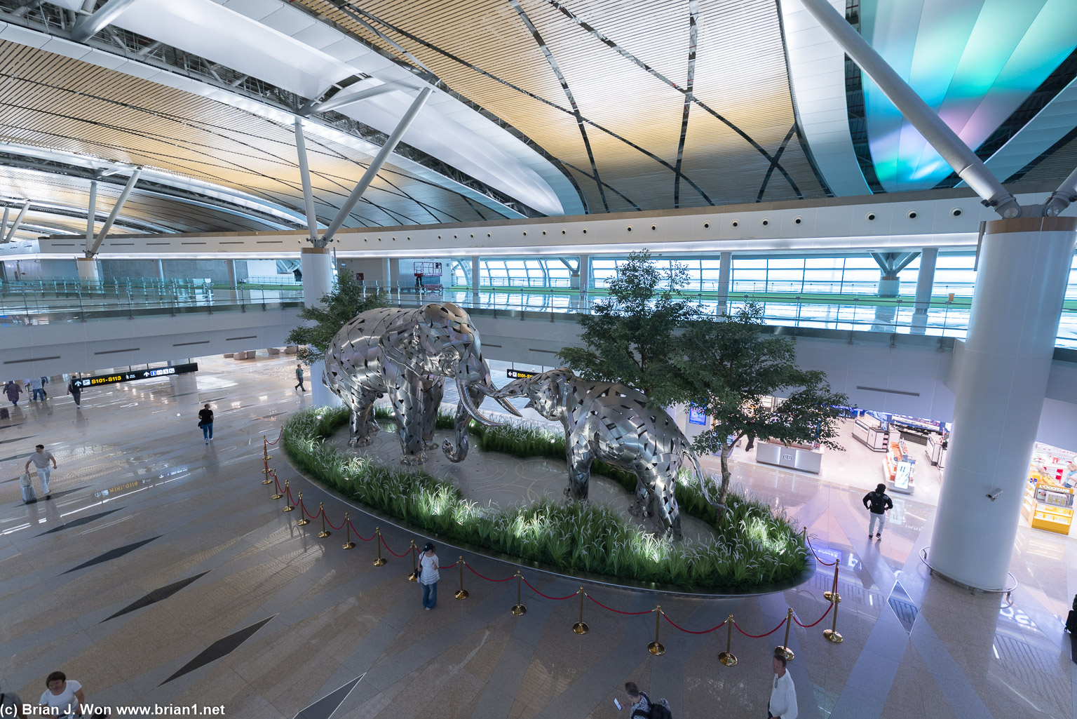 Elephants are a very important symbol in Thai culture.