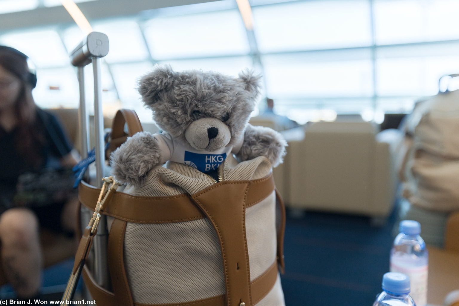 Inaugural flight teddy bear at home in the Emirates lounge.