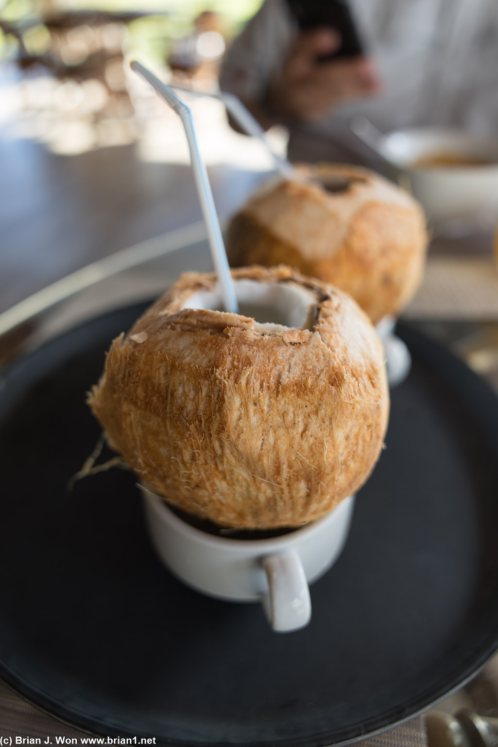 Captain McElligott hooked it up-- fresh from the farm.