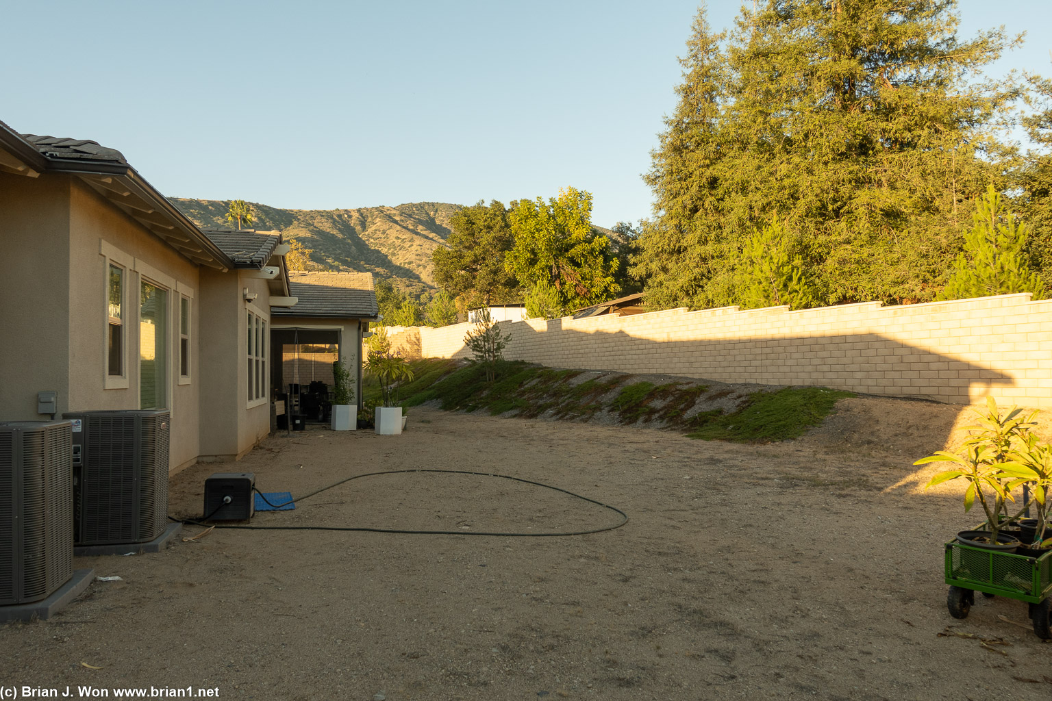 Q and Christine have a huge yard.