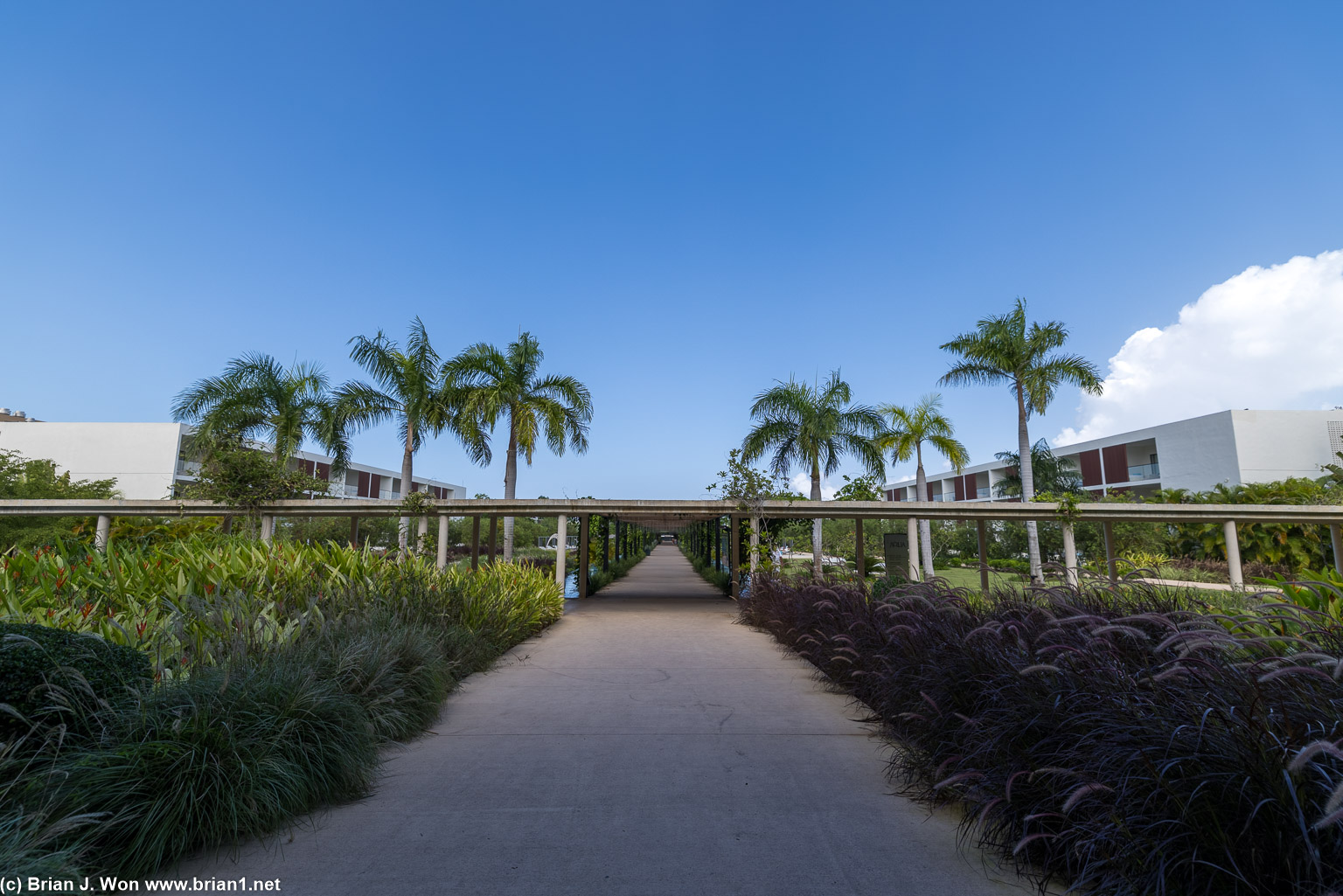 Exploring after lunch.